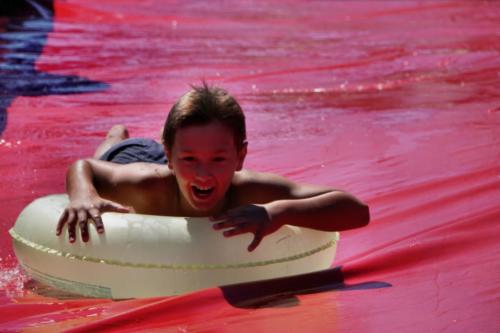 hostivarskaprehrada-2019-37