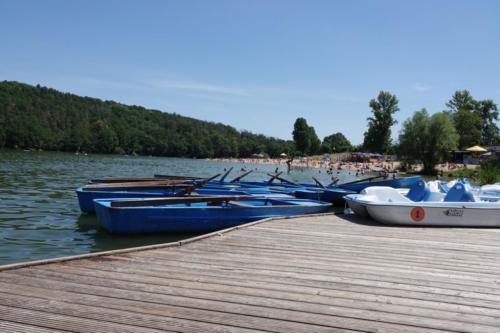 hostivarskaprehrada-2019-40