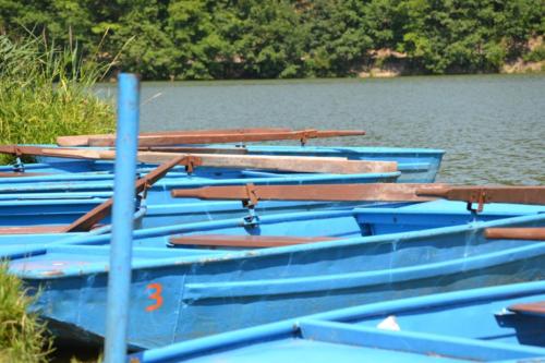 hostivarskaprehrada-akce-airbank-2017-44